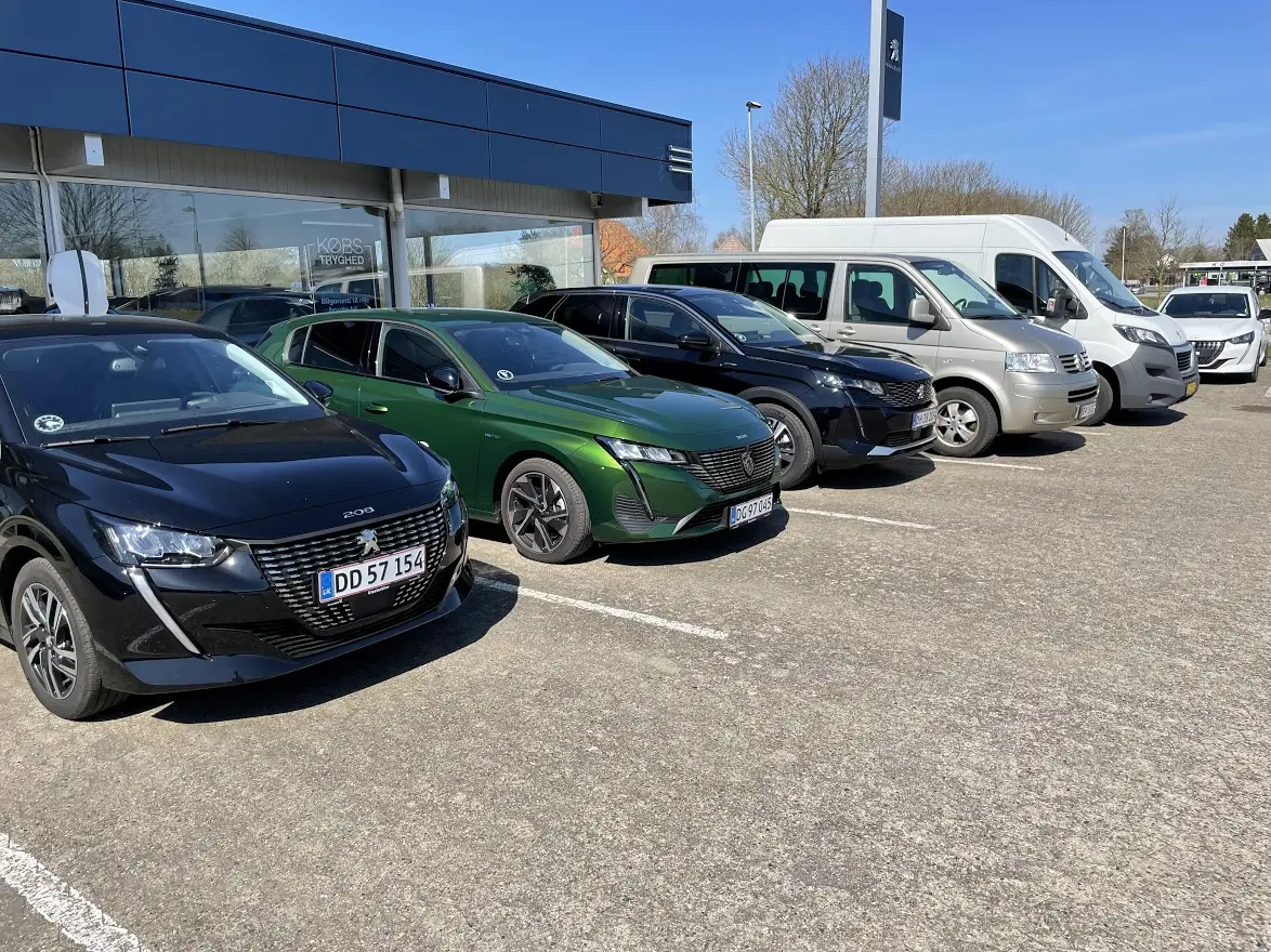 AutoMester og Peugeot specialist